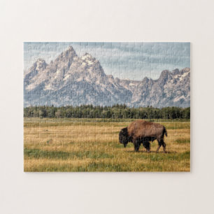 Bison in de Tetons Legpuzzel