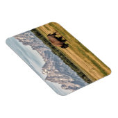 Bison in de Tetons Magneet (Rechterzijde)
