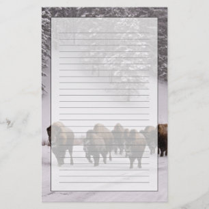 Bison in de winter briefpapier
