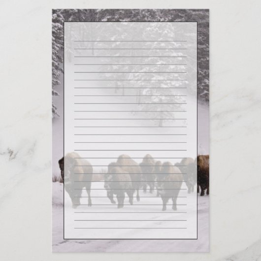 Bison in de winter briefpapier (Voorkant)