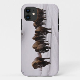 Bison in de winter iPhone 11 hoesje