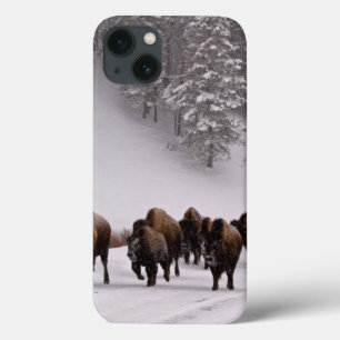 Bison in de winter iPhone 13 hoesje