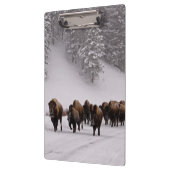 Bison in de winter klembord (Links)