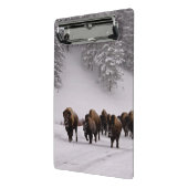 Bison in de winter mini klembord (Angled2)