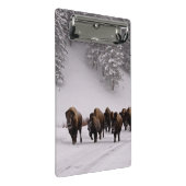 Bison in de winter mini klembord (Schuin)