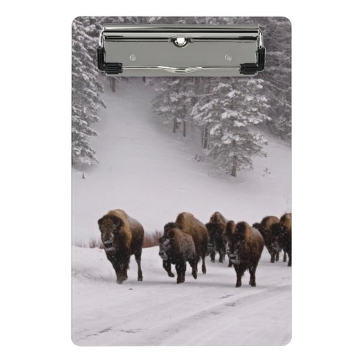 Bison in de winter mini klembord (Voorkant)
