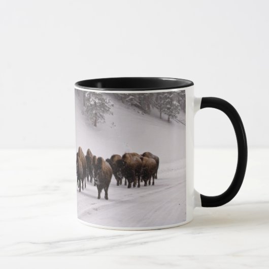 Bison in de winter mok (Rechts)