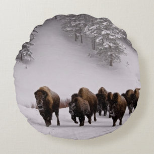 Bison in de winter rond kussen