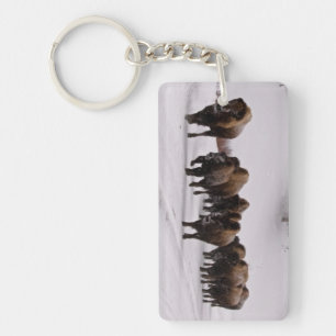 Bison in de winter sleutelhanger