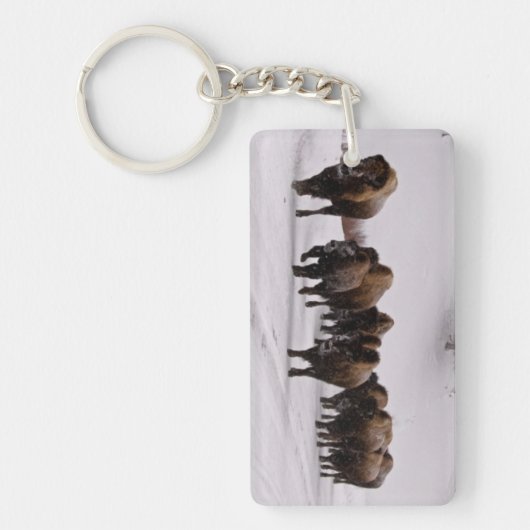 Bison in de winter sleutelhanger (Voorkant)