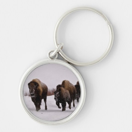 Bison in de winter sleutelhanger (Voorkant)