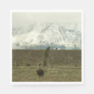 Bison in Grand Teton National Park Fotografie Servet