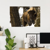 Bison in het Nationaal Park Lamar Valley Yellowsto Poster (Thuiskantoor)