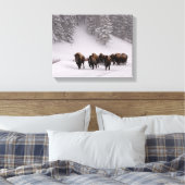 Bison in Winter Canvas Afdruk (Insitu (Slaapkamer))