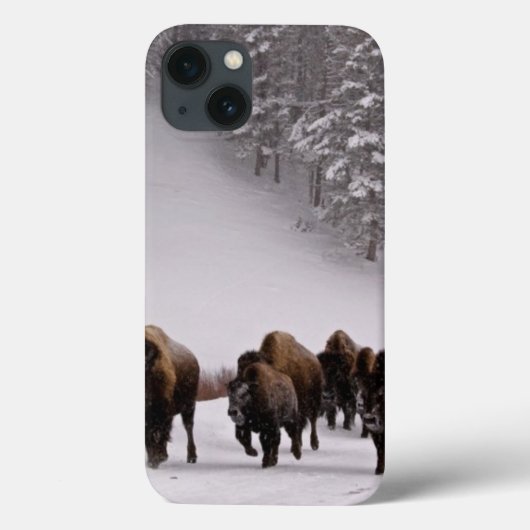 Bison in Winter Case-Mate iPhone Case (Achterkant)