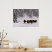 Bison in Winter Poster (Keuken)