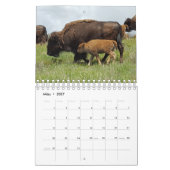 Bison Kalender (Mar 2027)