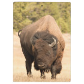 Bison Klembord (Achterkant)