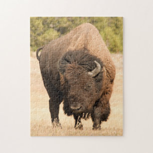Bison Legpuzzel