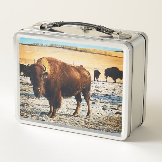 Bison Lunchbox (Achterkant)