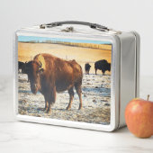 Bison Lunchbox (In situ)