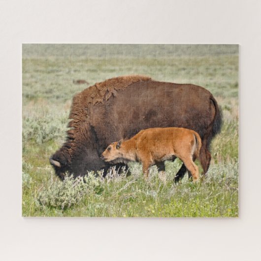 Bison Mama en Baby Design Puzzle Legpuzzel (Horizontaal)