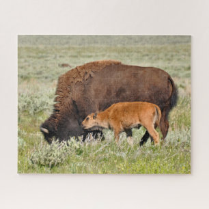 Bison Mama et Baby Design Puzzle
