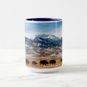 Bison-migratie Mok (Midden)