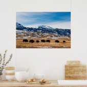 Bison-migratie Poster (Keuken)