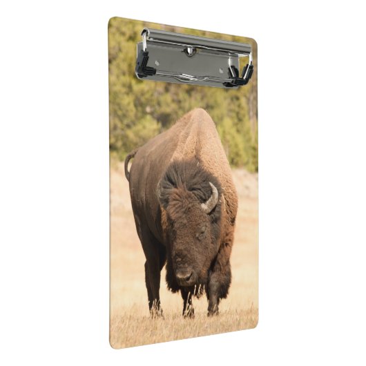 Bison Mini Klembord (Schuin)