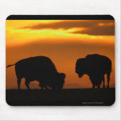 Bison Muismat (Voorkant)