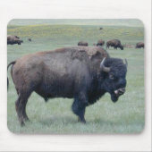 Bison Muismat (Voorkant)