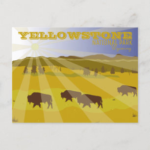 Bison of Yellowstone National Park Wyoming Briefkaart