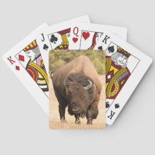 Bison Pokerkaarten