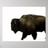 Bison Poster (Voorkant)