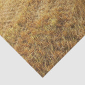 Bison Prairie Tissuepapier (Detail)