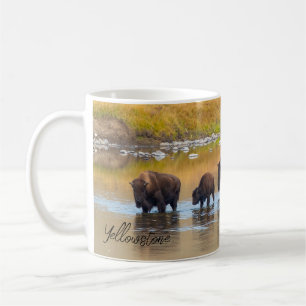 Bison River Crossing Yellowstone National Park, Ve Koffiemok