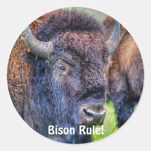 Bison Rule! Stickers met buffelbekleding (Voorkant)