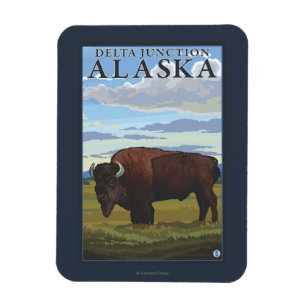 Bison Scene - Delta Junction, Alaska Magneet