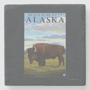 Bison Scene - Delta Junction, Alaska Stenen Onderzetter