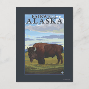 Bison Scene - Fairwell, Alaska Briefkaart