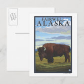 Bison Scene - Fairwell, Alaska Briefkaart (Voorkant / Achterkant)