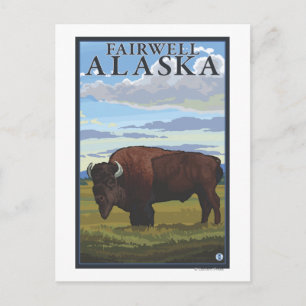 Bison Scene - Fairwell, Alaska Briefkaart