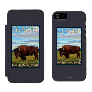 Bison Scene - Glacier National Park, MT