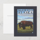 Bison Scene - McGrath, Alaska Briefkaart (Voorkant / Achterkant)
