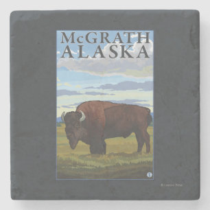 Bison Scene - McGrath, Alaska Stenen Onderzetter