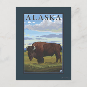 Bison Scene-Vintage Travel Poster Briefkaart