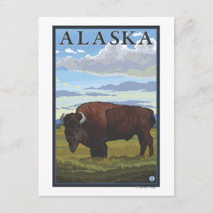 Bison Scene-Vintage Travel Poster Briefkaart