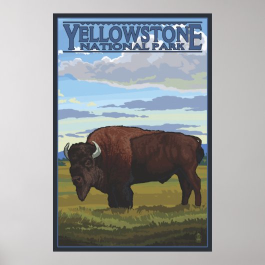 Bison Scene - Yellowstone National Park Poster (Voorkant)