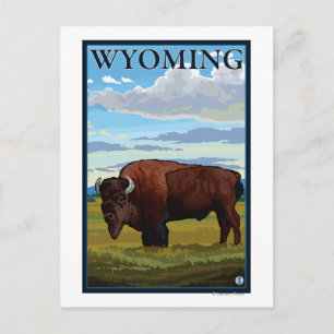 Bison SceneWyomingVintage Travel Poster Briefkaart